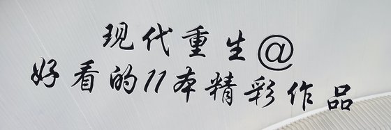 好看的11本精彩作品: 现代重生、唯美纯爱和爱情